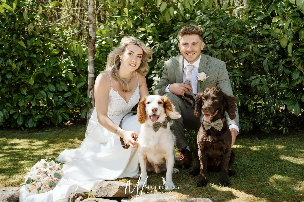 Dog joining wedding ceremony at Tree Top Escape, North Devon