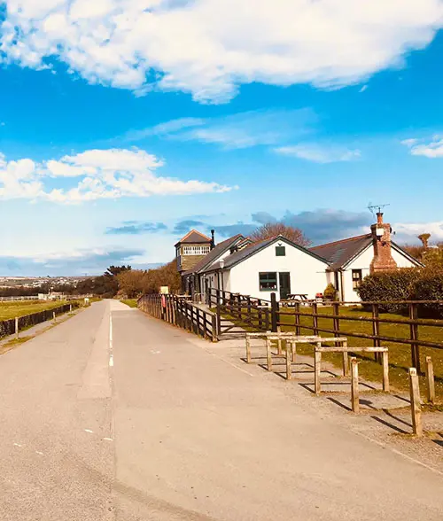 Dog Friendly Places to Eat