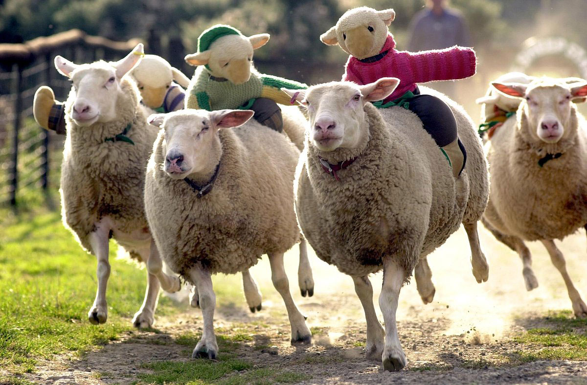 North Devon Family Friendly
