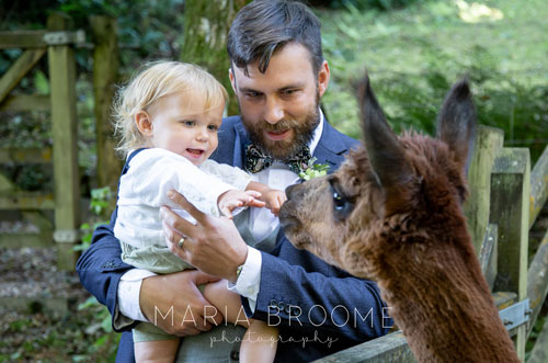 Intimate Wedding FAQ